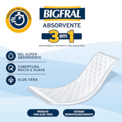 ABSORVENTE GERIÁTRICO BIGFRAL REGULAR PLUS C/20UN